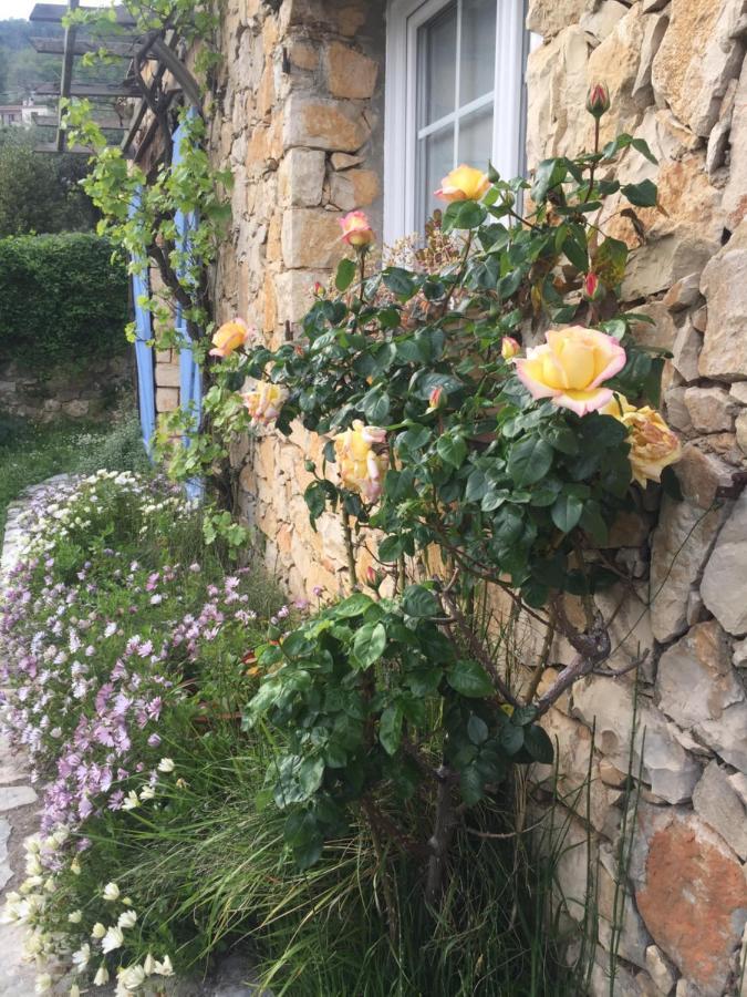 Lou Candelou Grasse Exterior photo